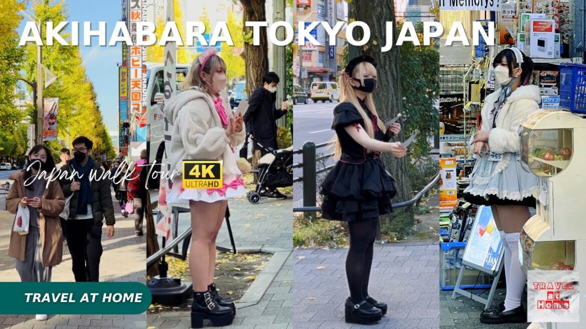 [4KHDR]Japan 4k walk 2022 | Travel at home Walk in Akihabara Tokyo Japan | Japanese Otaku Paradise