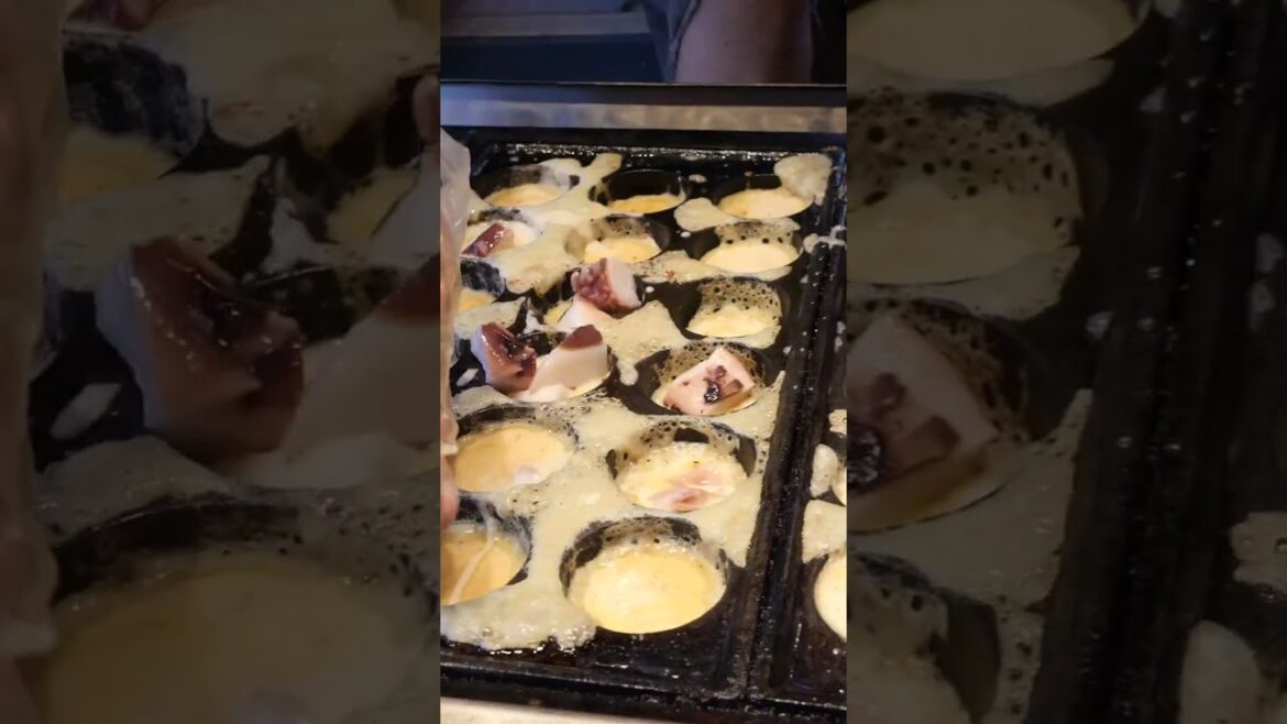 타코야끼 만들기 달인 / korean takoyaki master