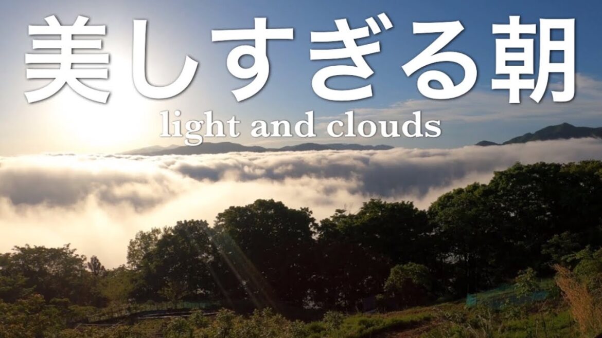 美しすぎる朝too beautiful morning光と雲light and clouds