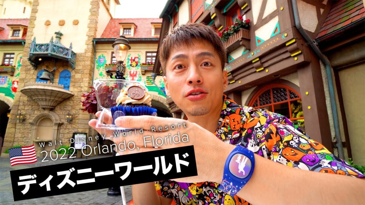 【アメリカ🇺🇸】初めてのディズニーワールド2泊3日で旅費はいくらかかるのか　スター・ウォーズ・ライズ・オブ・ザ・レジスタンス