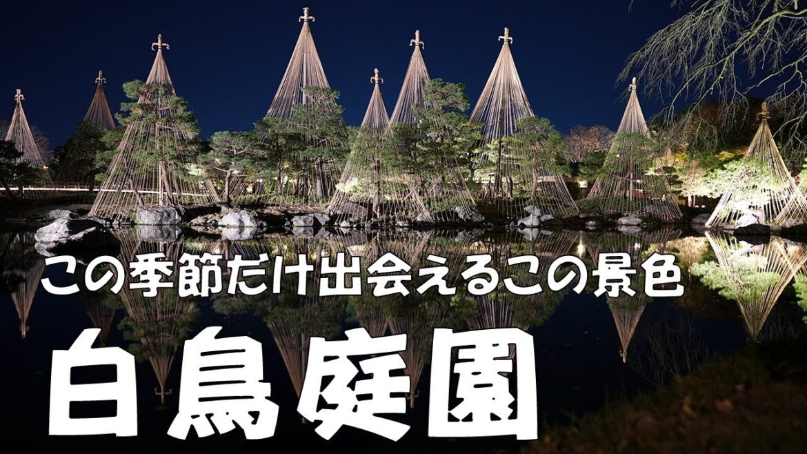 2022年12月２日【名古屋紅葉スポット】この季節だけ出会えるこの景色✨✨　白鳥庭園　愛知県　＃白鳥庭園　＃紅葉　＃日本庭園