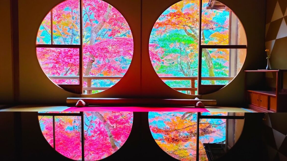 Beautiful! Hogon-in Temple, Sagano Romantic Train in Arashiyama, Kyoto/Autumn Leaves👘Japan Travel Beautiful! Hogon-in Temple, Sagano Romantic Train in Arashiyama, Kyoto/Autumn Leaves👘Japan Travel