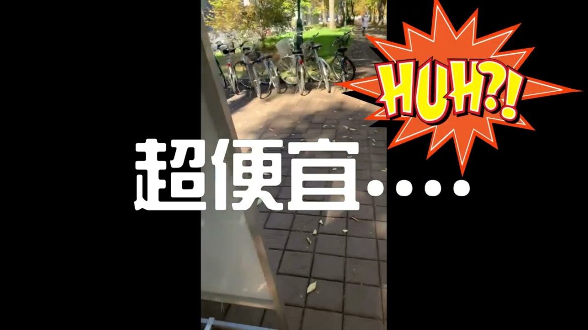 [4K Vlog]日本好便宜！解封之後第一個先飛北海道的原因？北海道大學金黃銀杏大道一生必見中島公園First Love初戀札幌拍攝地還有北海道不為人知的秘境明治時代保存至今最古老的札幌農學校第二農場