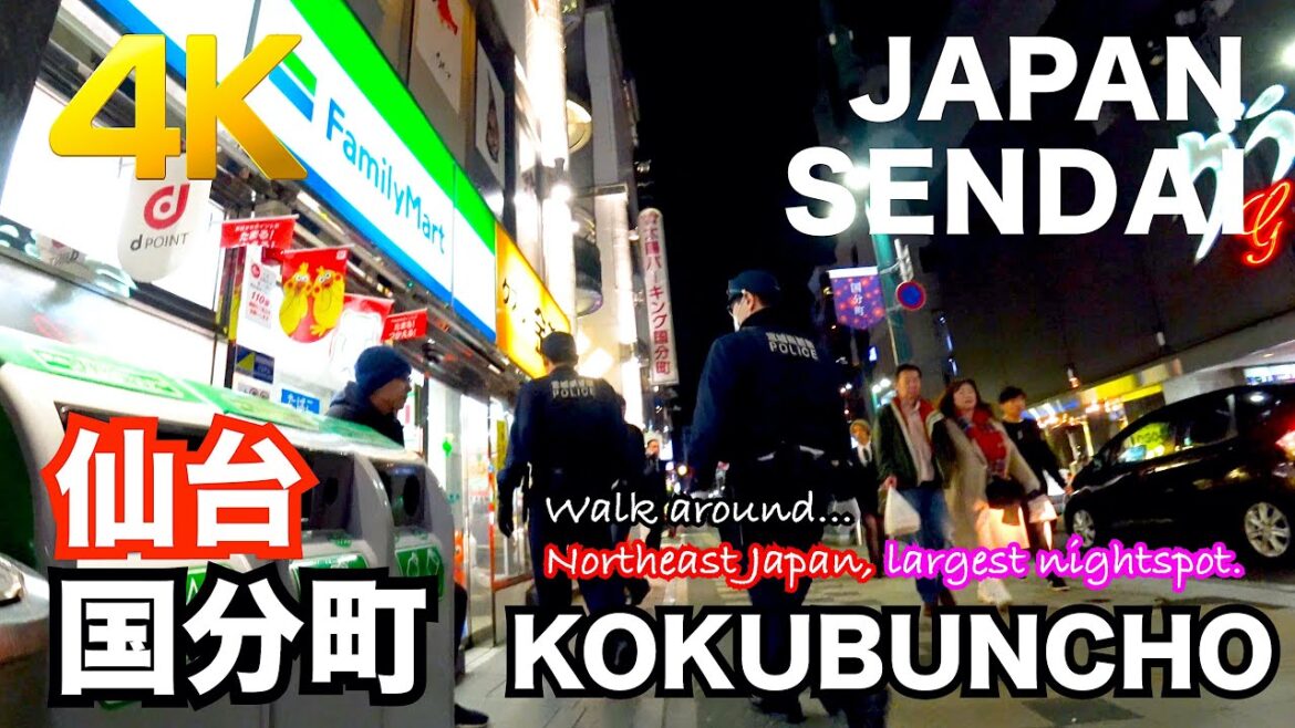 【仙台/国分町】JAPAN SENDAI  KOKUBUNCHO nightspot  -just walking-