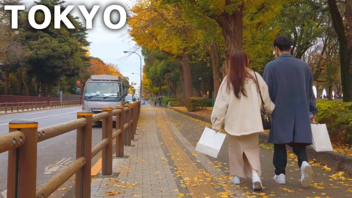 [4k] Tokyo - Walking from Nippori to Ueno. Cemetery and ginkgo tree (Dec. 2022)