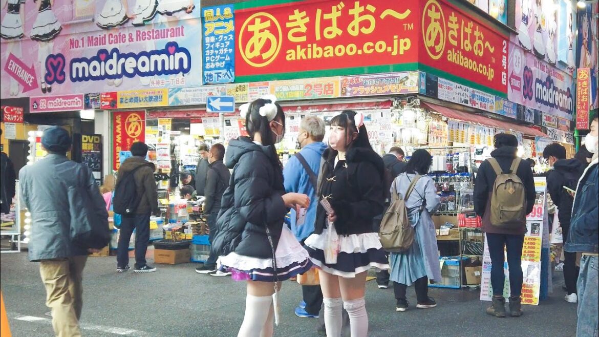 【JAPAN 4K】Sunday evening walk Akihabara Tokyo 秋葉原 【JAPAN 4K】Sunday evening walk Akihabara Tokyo 秋葉原