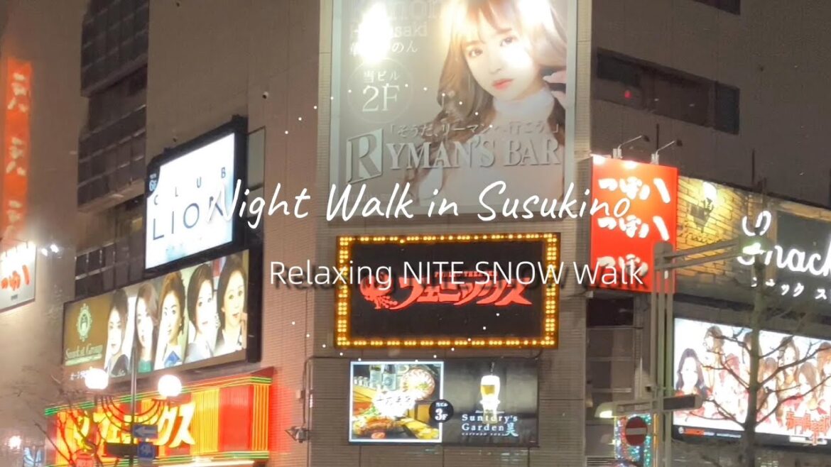 夜のすすきの散歩 札幌 | グルメ ラーメン ジンギスカン  居酒屋 |  北海道