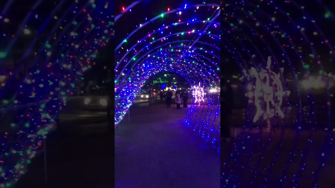 Hiroshima Dreamination (Illumination) 2022 - Blue Christmas