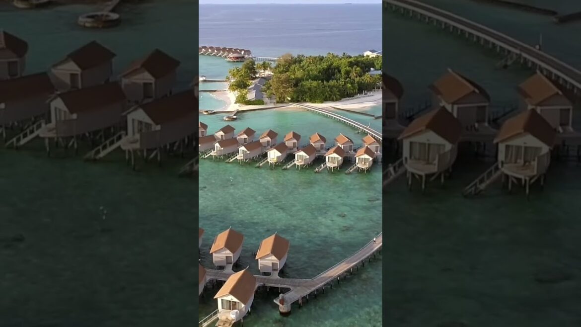 Travel in the Maldives!!! Travel in the Maldives!!!