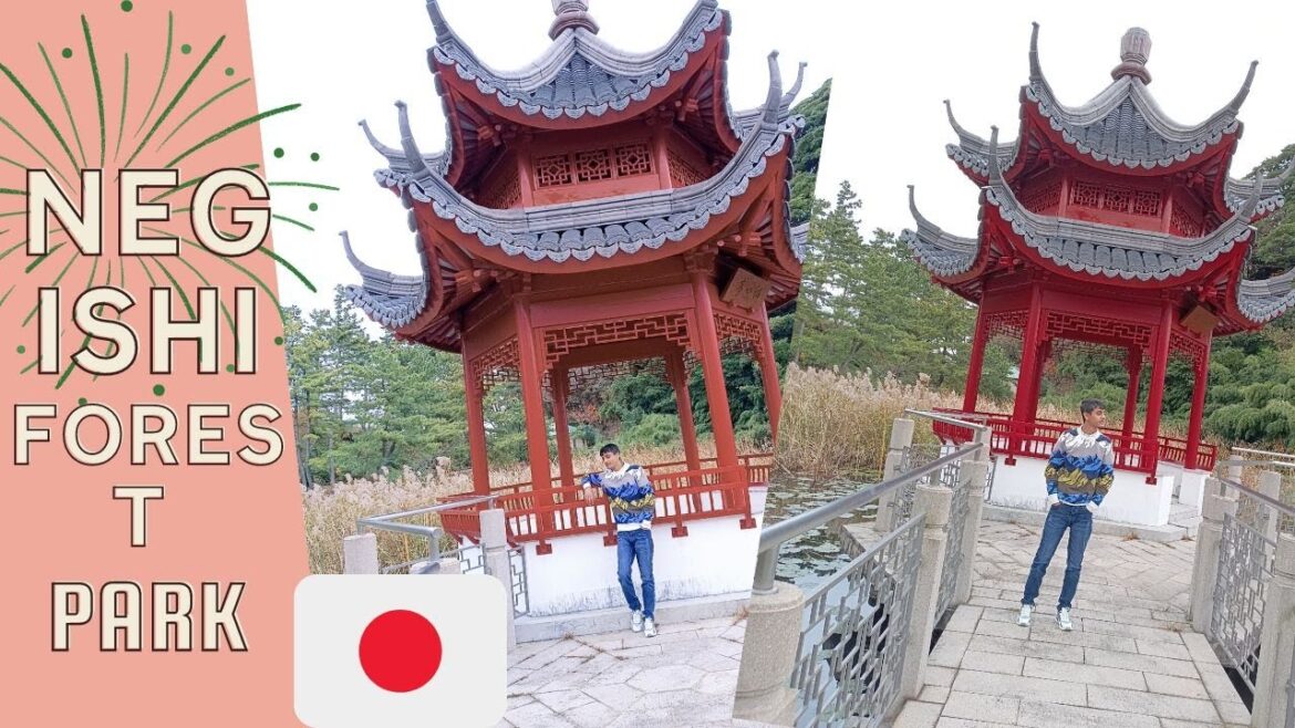 Tour by Negishi Forest Park in JapanJapan Vlog NH Ruman Tour by Negishi Forest Park in Japan_Japan Vlog _ NH Ruman