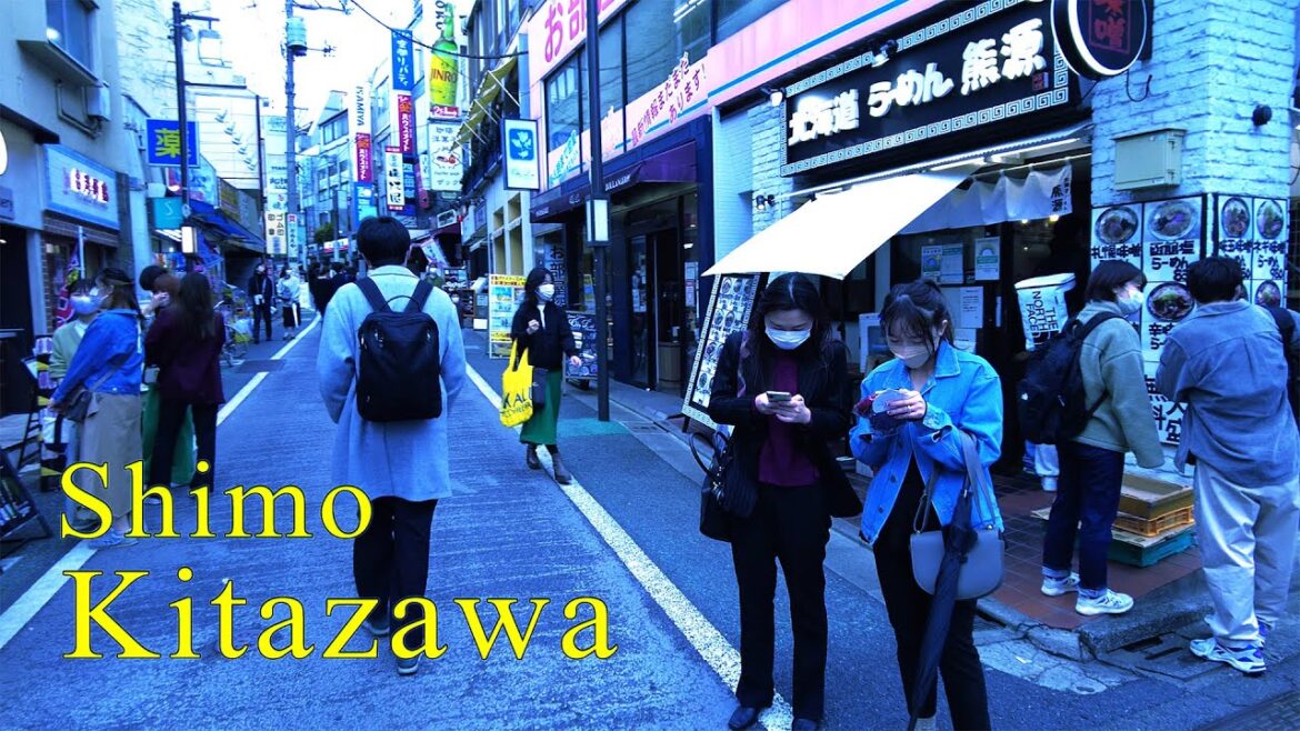 Cozy Shimo-Kitazawa (Tokyo, Japan) 4K