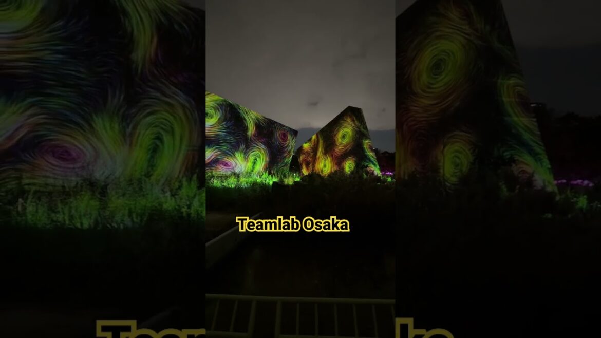 Teamlab Osaka