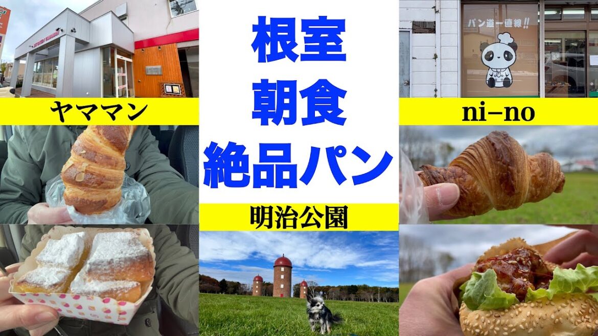 【ヤママン＆niーno】車中泊後の絶品朝食パン　根室で人気を2分するパン屋さんで衝撃の激ウマパンに遭遇 意外な場所でチャンネル視聴者様と初のご対面！　根室の歴史ある公園で朝散歩