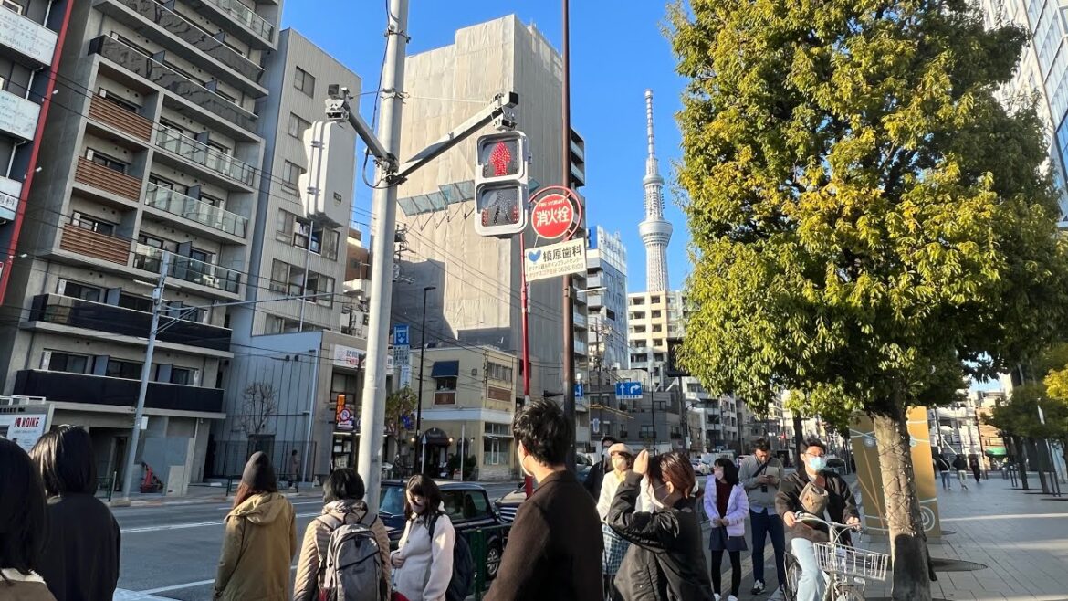 Tokyo Live Afternoon in Kinshicho Tokyo Live Afternoon in Kinshicho