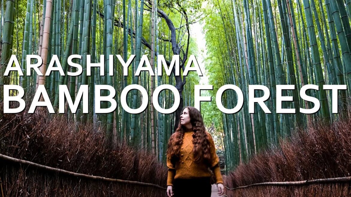 Alone in Arashiyama Bamboo Forest | Kyoto, Japan Vlog