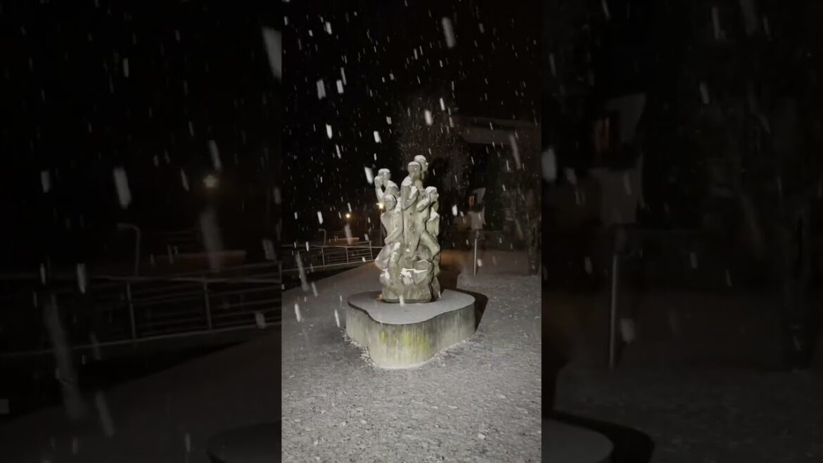 Heavy snowfall in Switzerland ❄️🥶 #youtubeshorts #shorts #switzerland #nature #winter #snowfall