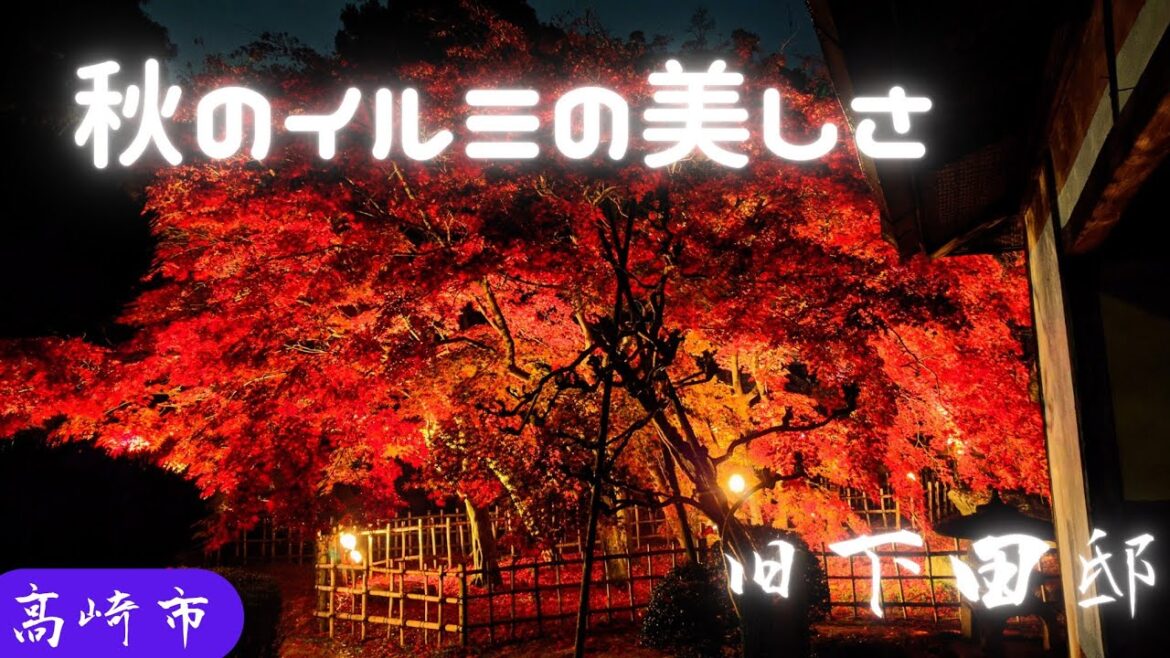 🍁🏡秋の紅葉のイルミネーション 旧下田邸 高崎市 箕郷 maple illumination. Japanese Garden Former Shimoda Residence 2022.11.20