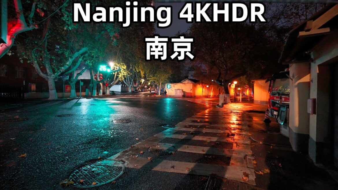 4KHDR 60FPS，Nanjing City Winter Rainy Night Walk,，Fallen Feaves in Autumn，Ambience Sounds