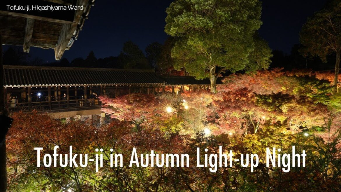 [4K Kyoto] Tofuku-ji(東福寺) in Autumn Light-up Night