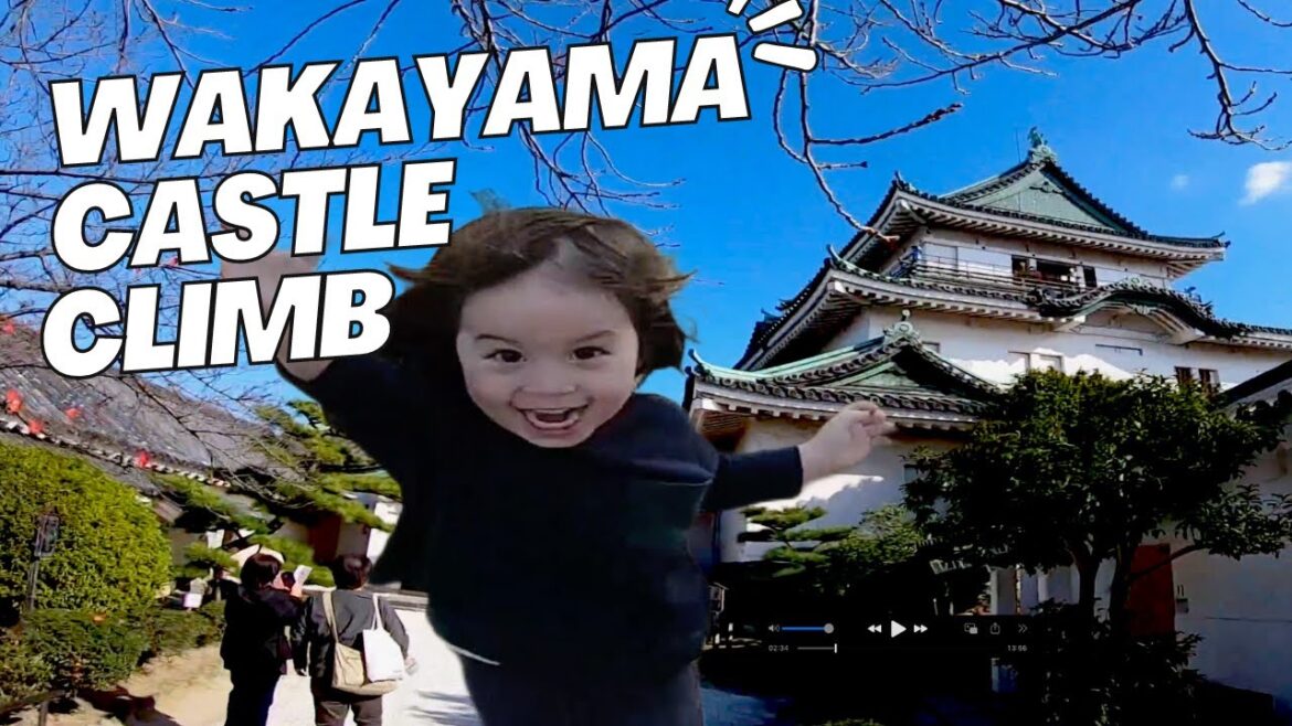 Wakayama Castle Tower Climb Panoramic View 4K Japan