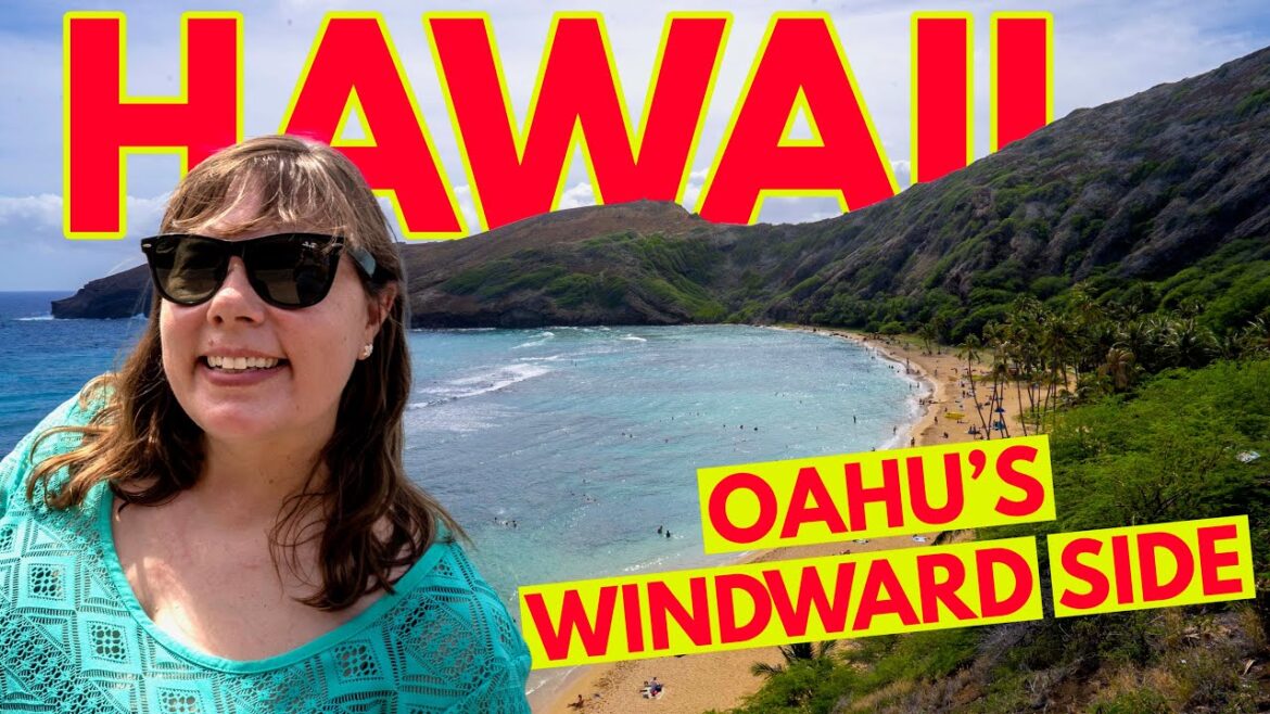 We Ate Inside Jurassic Park & Best Snorkeling EVER! We Ate Inside Jurassic Park & Best Snorkeling EVER!