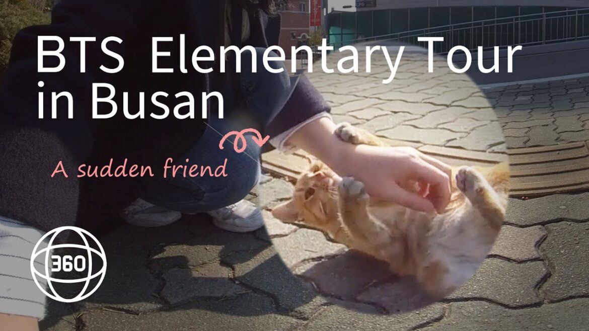 [360 in korea] 방탄소년단 모교 투어(부산)/회동초등학교/백양초등학교/지민코스/정국코스/BTS Elementary Tour in Busan
