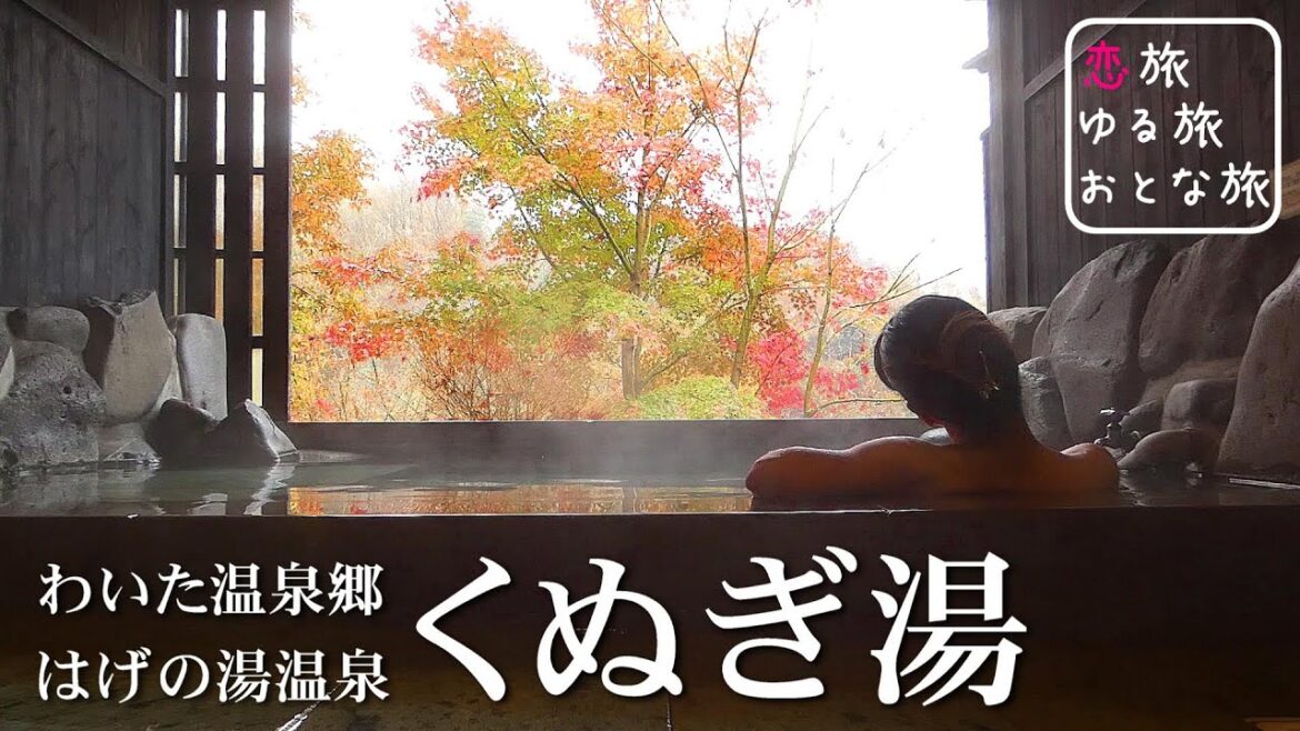 【温泉】わいた温泉郷『はげの湯温泉 くぬぎ湯』コインタイマー式極上貸切露天風呂と豪華蒸し釜料理を堪能!!日帰り温泉満喫旅 大人の国内旅行【熊本温泉女子旅】 【温泉】わいた温泉郷『はげの湯温泉 くぬぎ湯』コインタイマー式極上貸切露天風呂と豪華蒸し釜料理を堪能!!日帰り温泉満喫旅 大人の国内旅行【熊本温泉女子旅】