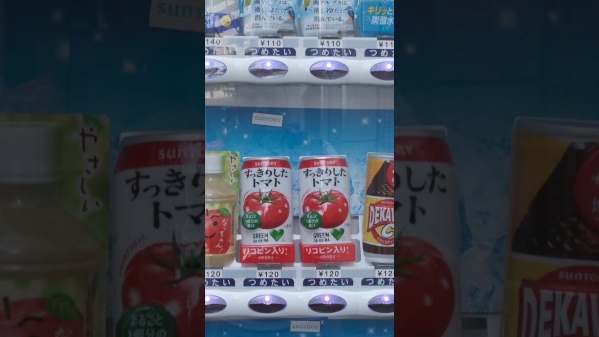 Tokyo Japan AMAZING Vending machine