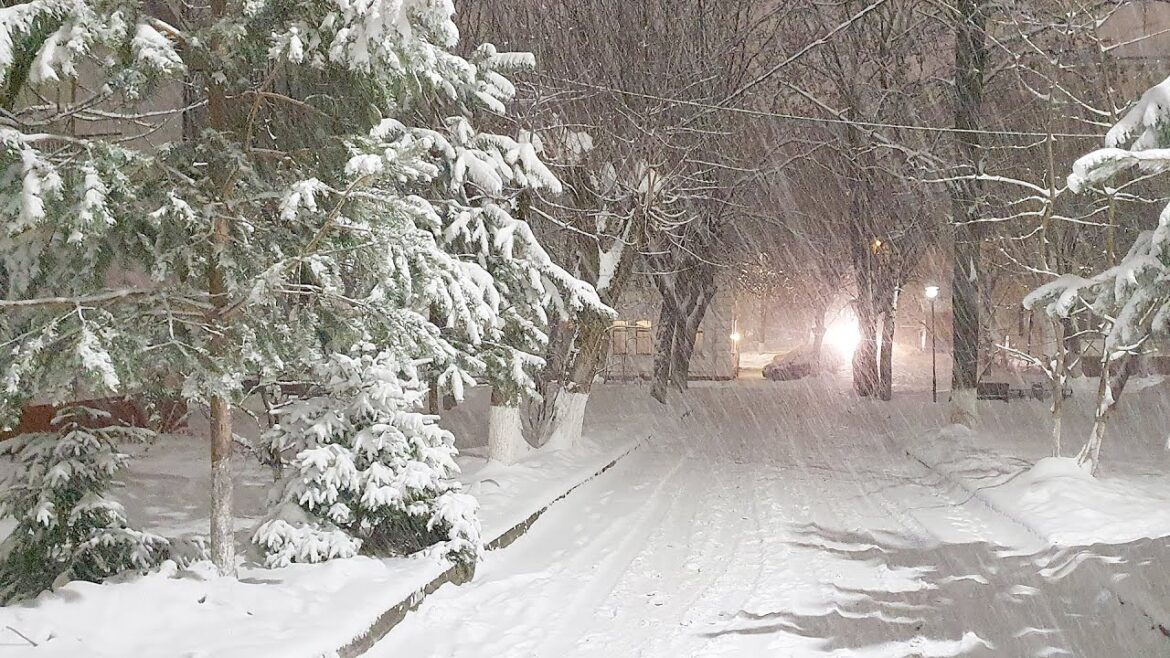 A Walk in a Heavy Snowfall Different Russia A Walk in a Heavy Snowfall Different Russia