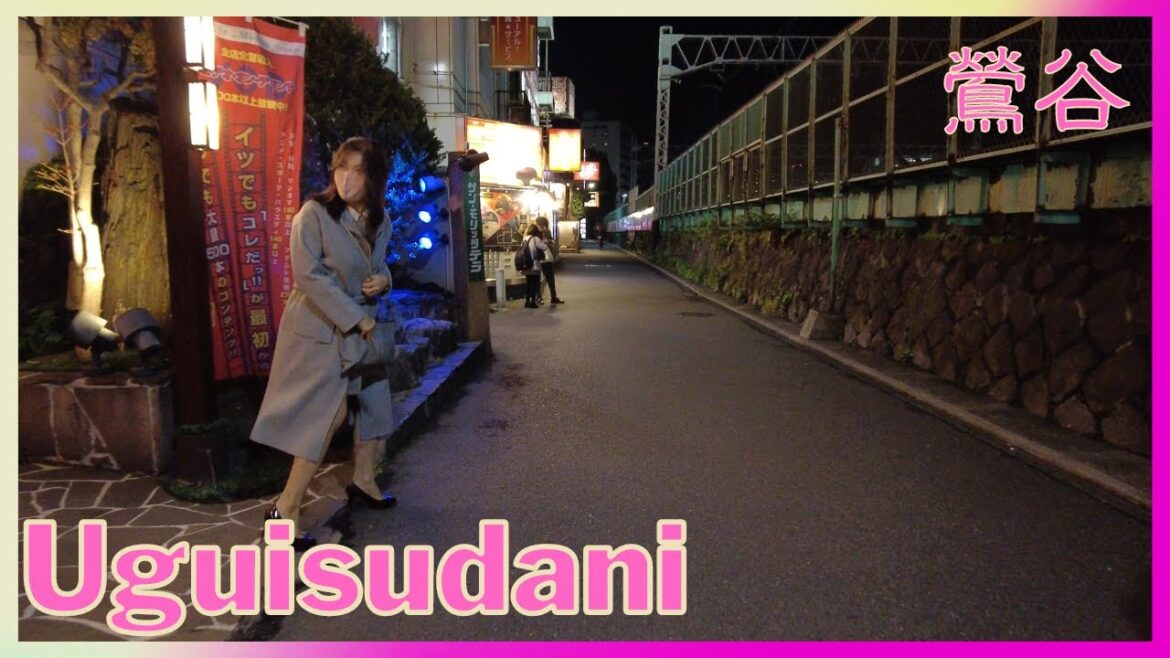 4K 60, 鶯谷お散歩 2022.11.6 | 8 PM | Tokyo night walking in Uguisudani Hotel district 4K 60, 鶯谷お散歩 2022.11.6 | 8 PM | Tokyo night walking in Uguisudani Hotel district