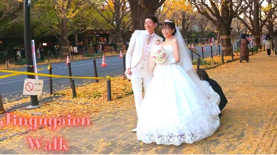 Yellow carpet. Meiji Jingu Tokyo, in Japan walking tour.【4K】12.2022 Yellow carpet. Meiji Jingu Tokyo, in Japan walking tour.【4K】12.2022