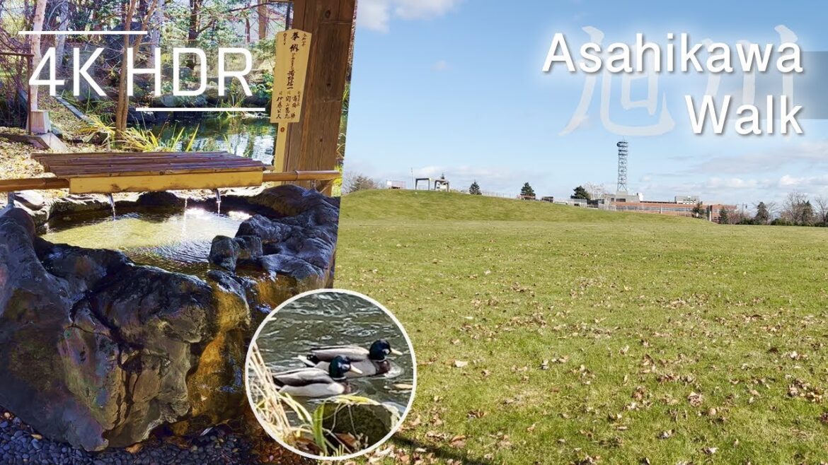 Around University Chill Walk in Asahikawa, Hokkaido, Japan | 4K HDR