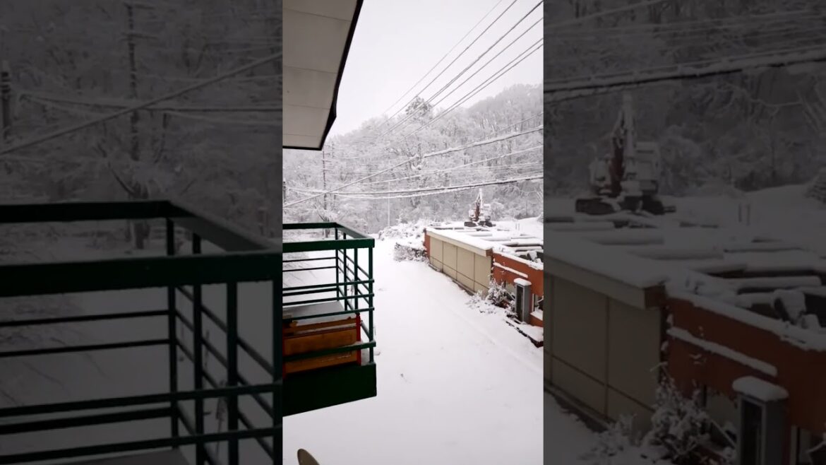 Snow Mountain in Japan #Hakuba #Nagano #Short #Shorts