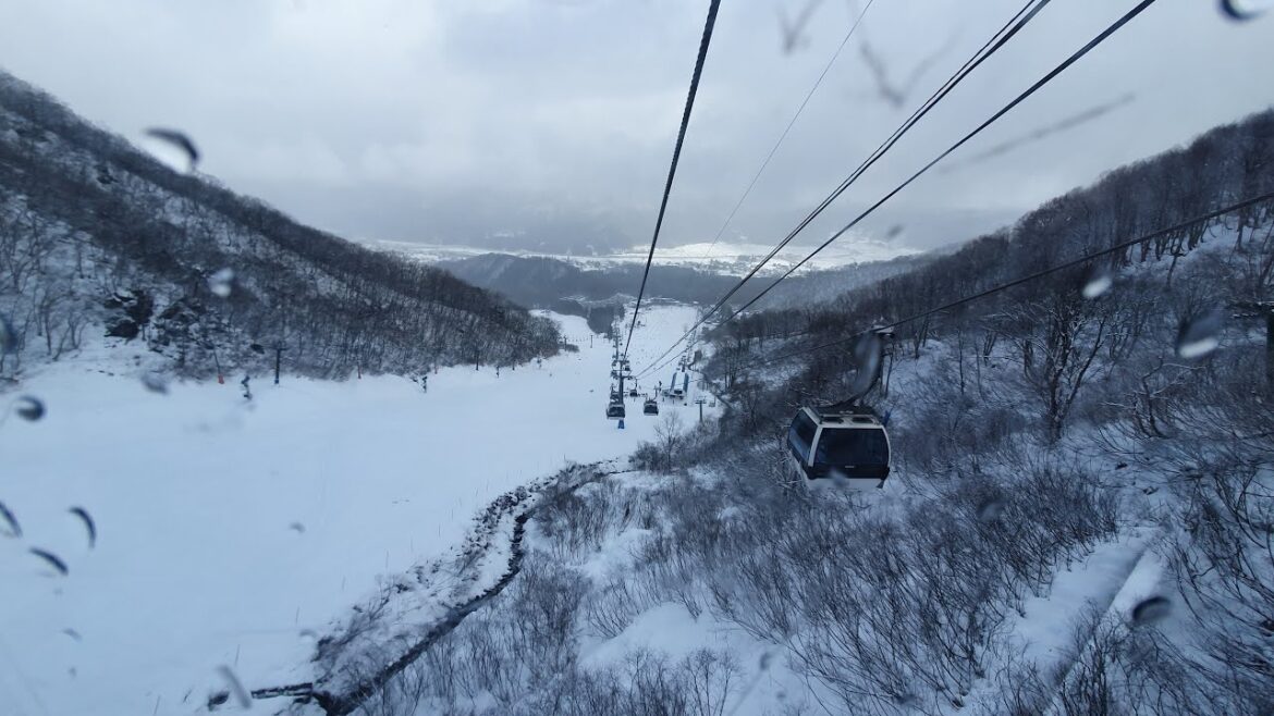 Hakuba 1/2: Skiing | Japan 12/45 |