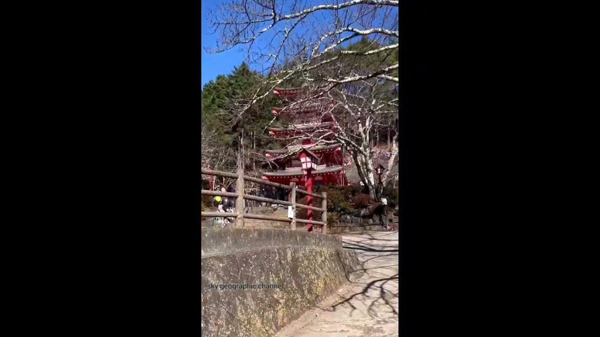Fujiyoshida, Yamanashi , Japon Pagode de Chureito (Pagoda Chureito