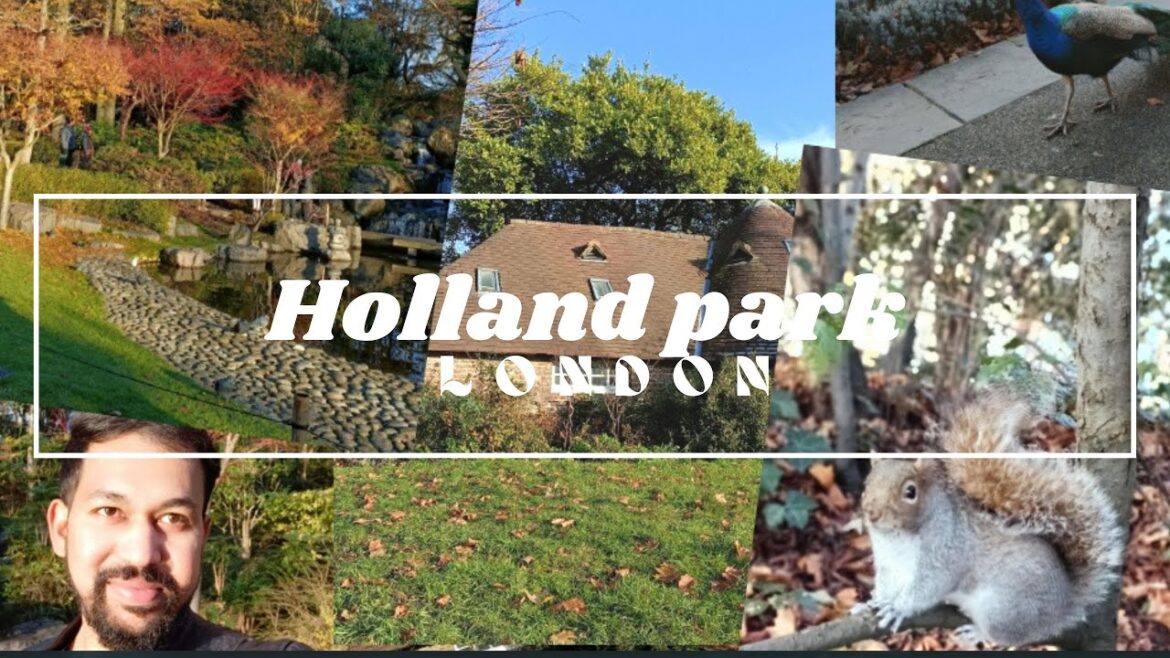 Holland Park | LONDON WALK 🍁 Beautiful Kyoto Garden | London | 4K| ☔️