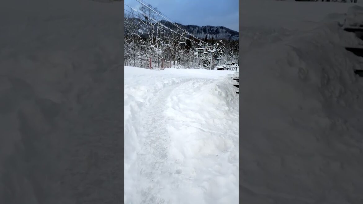 Snow Mountain in Japan #Hakuba #Nagano #Short #Shorts