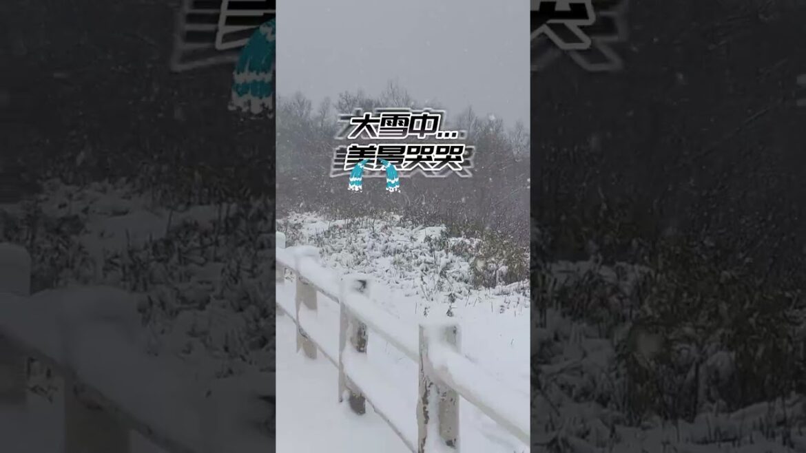 北海道一日遊 快跟上我出發!!🚗 #shorts#hokkaidotrip#japantravel#北海道#洞爺湖 #日本自由行#秋田犬#bear#akita#lake#mountain#travel