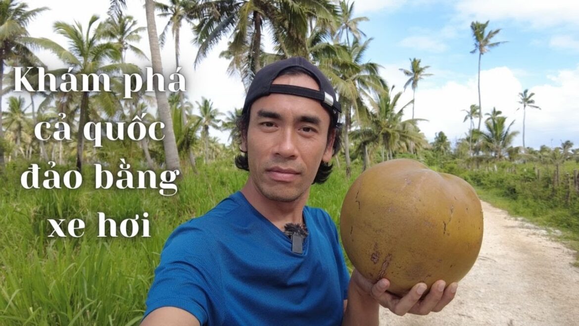 Lái xe vòng quanh quốc đảo Tonga ở giữa Thái Bình Dương 🇹🇴 | Vlog du lịch trải nghiệm Lái xe vòng quanh quốc đảo Tonga ở giữa Thái Bình Dương 🇹🇴 | Vlog du lịch trải nghiệm