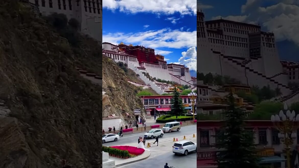 Travel To China #Shorts