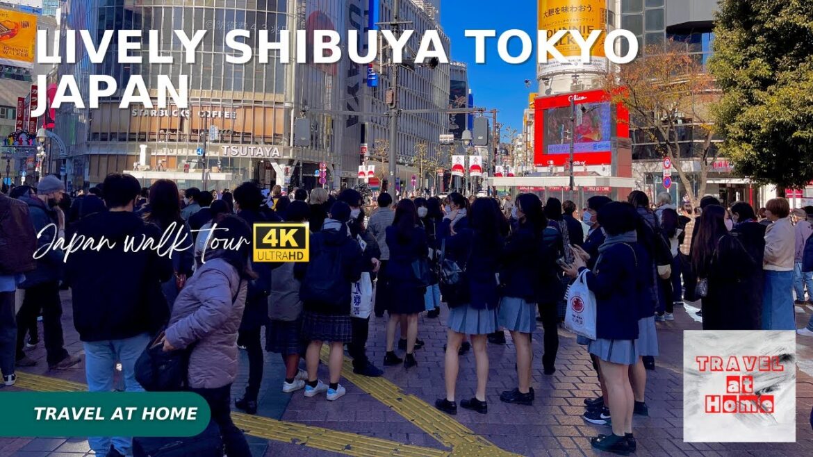 [4KHDR]Japan 4k walk 2022 | Travel at home Wednesday Walk in Lively Shibuya Tokyo Japan