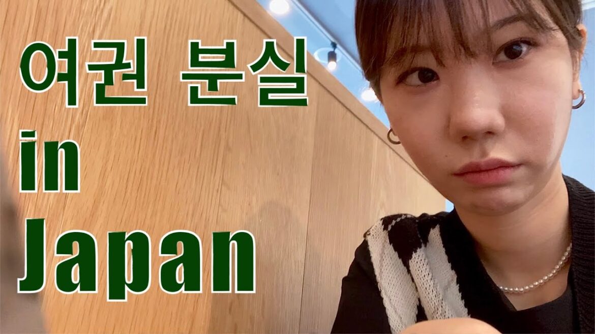 일본에서 여권을 잃어버린 건에 대하여