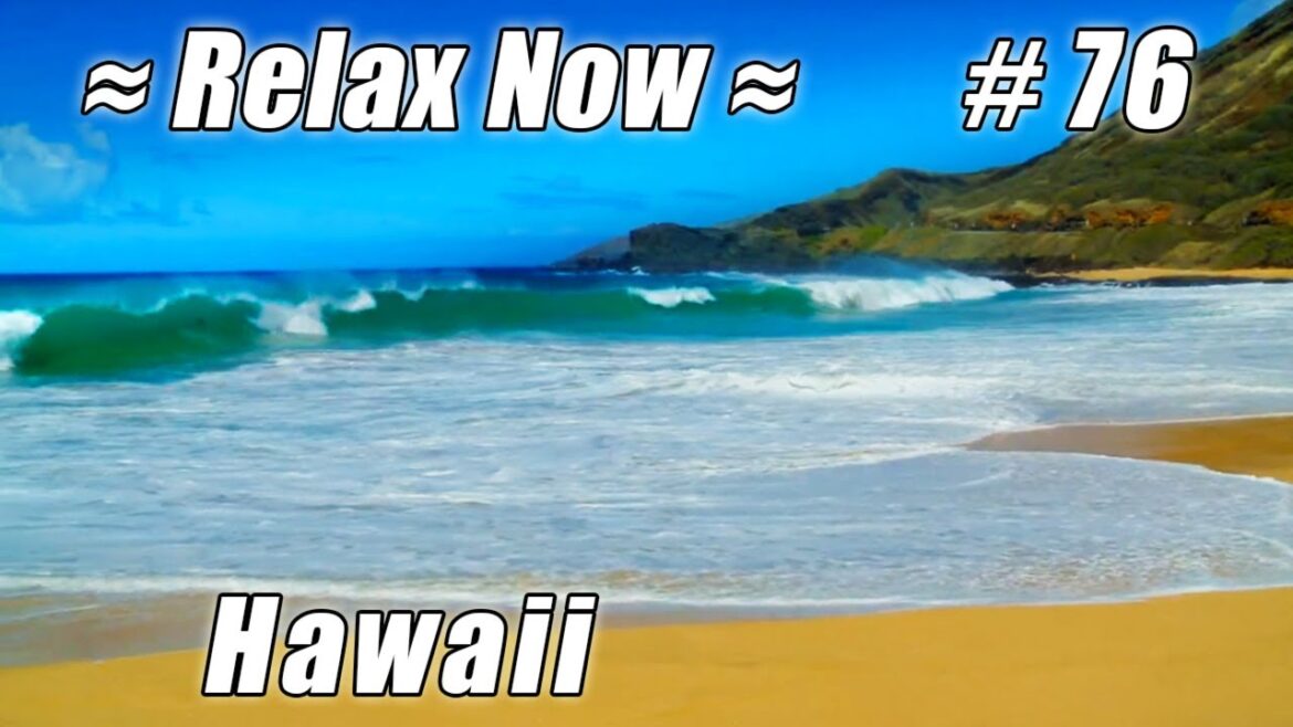 SANDY BEACH - HONOLULU BEACHES Oahu #76 Beaches Ocean Waves HD Hawaii Beach wave sounds nature