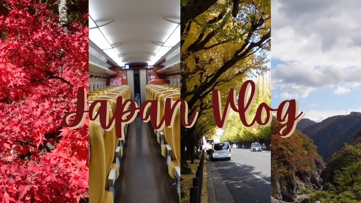 Japan Travel Vlog 2022 | Exploring Japan's Beauty in Autumn | Tōkyō, Chiba & Nasushiobara, Tochigi