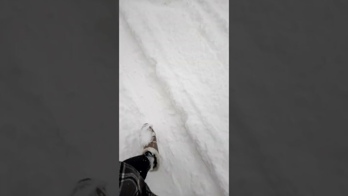 Snow Mountain in Japan #Hakuba #Nagano #Short #Shorts