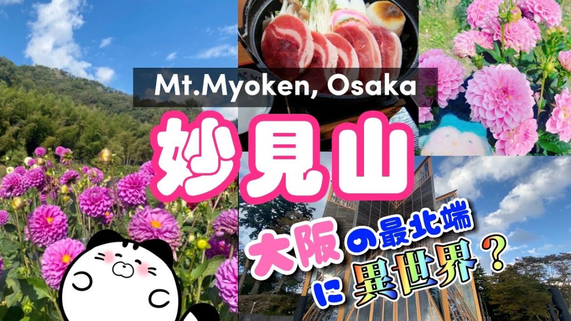 【大阪vlog】能勢町の妙見山ハイキング/Mt. Myoken, Osaka Japan 【大阪vlog】能勢町の妙見山ハイキング/Mt. Myoken, Osaka Japan