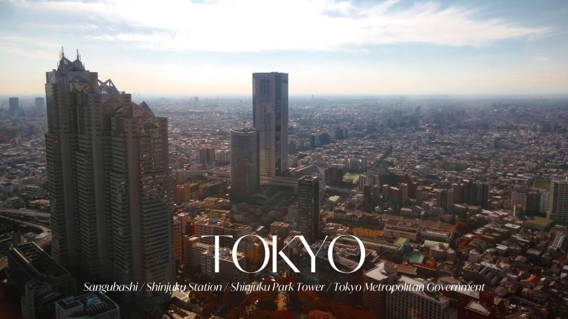 紅葉東京散歩② 参宮橋 ➔ 新宿｜SANGUBASHI ➔ SHINJUKU