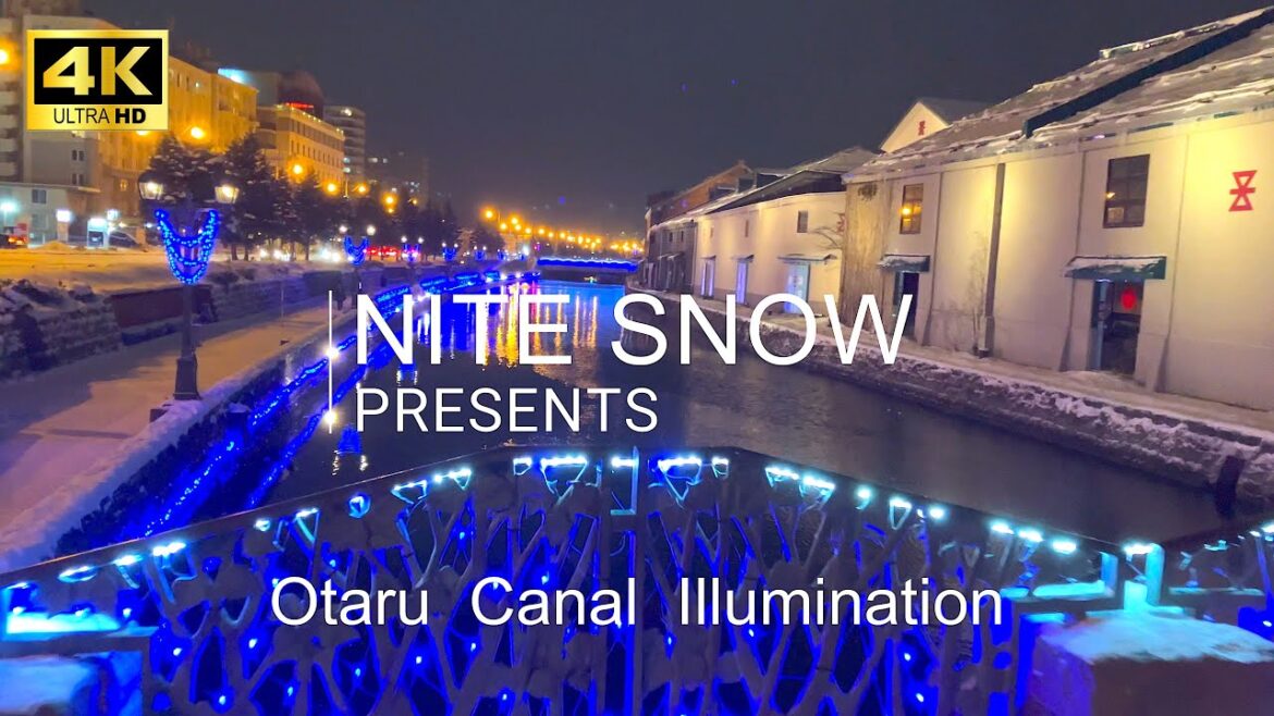 夜の雪降る小樽運河　夜景を彩るイルミネーション｜小樽　北海道