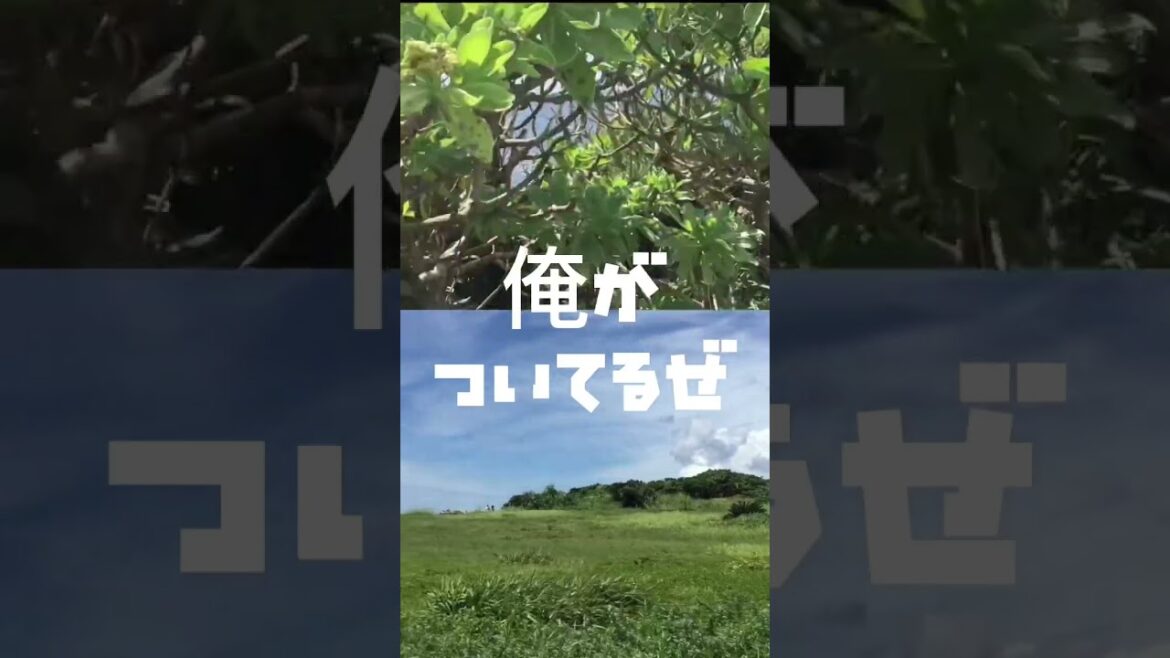 万座毛　#沖縄旅行 #沖縄観光 #shorts