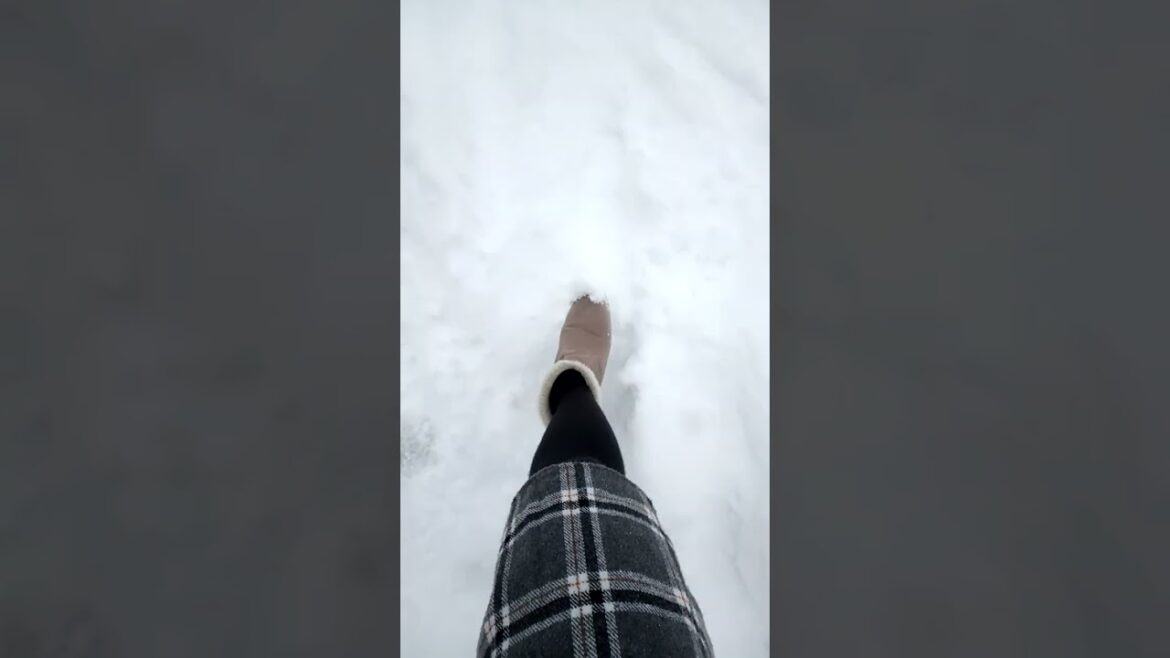 Snow Mountain in Japan #Hakuba #Nagano #Short #Shorts